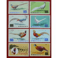 КНДР. Птицы. ( 8 марок ) 1976 года. 4-17.