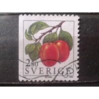 Швеция 1994 Стандарт, ягоды