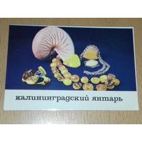 Календарик 1985 Калининградский янтарь