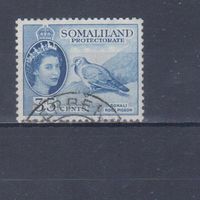 [184] Британские колонии. Сомалиленд 1953. Елизавета II.Фауна.Птицы.Голубь.35 с. Гашеная марка. Кат.гаш.4,50 е.