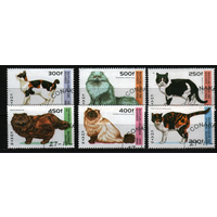 1996 Гвинея Фауна, Кошки 6 марок гаш