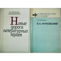 Пособия по рус.лит для учеников и студентов-2шт