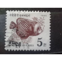 КНДР 1995 Стандарт, рыба 5 вон концевая Михель-7,5 евро гаш