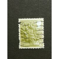 Великобритания 2005. Региональные почтовые марки Англии. Английский дуб. Полная серия