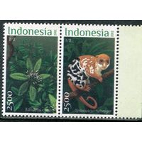 Индонезия. Фауна. Лямур