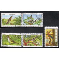Птицы Куба 1978 год серия из 5 марок