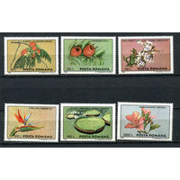 Румыния - 1995 - Цветы - [Mi. 5129-5134] - полная серия - 6 марок. MNH.  (Лот 99DZ)-T5P14