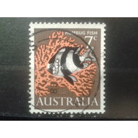 Австралия 1966 рыба