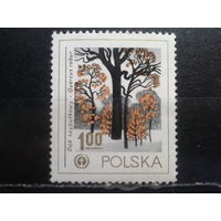 Польша, 1978, Дуб черешчатый