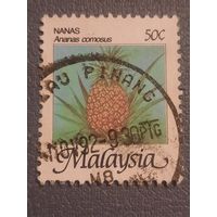 Малайзия 1992. Флора. Ананас