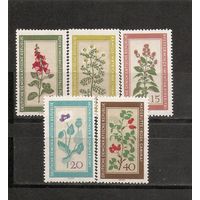 ГДР 1960 Цветы