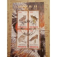 Руанда 2010. Птицы. Совы