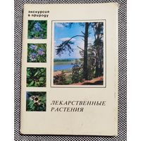 Набор открыток Экскурсия в природу. Лекарственные растения. 2