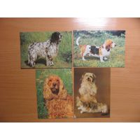 4 открытки собак