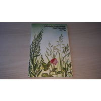 Лекарственные растения луга - Изобразительное искусство 1993