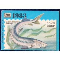 1983 год. Филателия. Байкальский Осётр