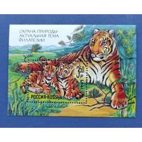 Марки России: блок Тигр, охрана природы 1992