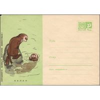 Художественный маркированный конверт СССР N 4956 (19.10.1967) Охраняйте ценных морских животных! Калан