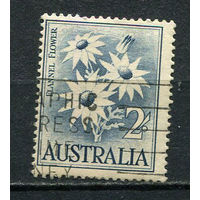 Австралия - 1959/1965 - Цветы 2Sh - [Mi.299] - 1 марка. Гашеная.  (Лот 7EB)-T7P2
