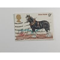 Великобритания 1978.  Британские лошади
