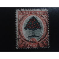 ЮАР 1926 стандарт, дерево