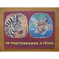 Раскраска "Не родственники, а тёзки", 1980. Художник В. Каневский.