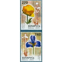 2003. 507-508. Купальница европейская, ирис сибирский**