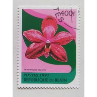 Бенин.1997.орхидея