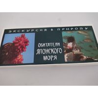 Набор  из 21 открытки (9х21см) " Экскурсия в природу.Обитатели Японского моря" , 1977