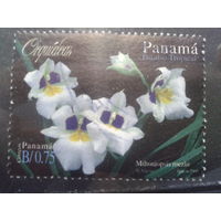 Панама 2000 Орхидеи, марка из блока Михель-3,6 евро гаш