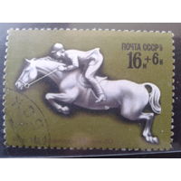 1977 Олимпиада в Москве, конный спорт