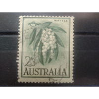 Австралия 1959 Цветы акации