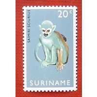 Суринам. Фауна. ( 1 марка ) 1969 года. 8-1.