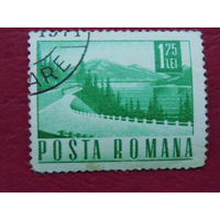 Румыния 1971г. Флора.