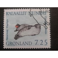Дания Гренландия 1991 тюлени