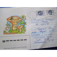 ХМК СССР 1991 почта Грибы рыжик франкировка Россия 1992