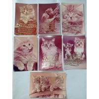 Открытки ССР с котятами, фото котов, котят. Поздравительные открытки ССР с золотой надписью- пожеланиями