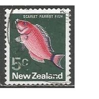 Новая Зеландия. Рыбы. Алый губан. 1970г. Mi#523.