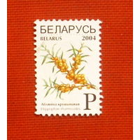 Беларусь. Стандарт. ( 1 марка ) 2004 года. 10-10.