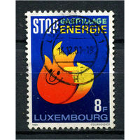 Люксембург - 1981 - Энергосбережение - [Mi. 1040] - полная серия - 1 марка. Гашеная.  (Лот 148AD)