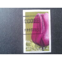 Канада 2002 тюльпан