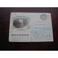 Конверт Цветущие кактусы, 1990 год, штамп Малые летцы, Борисов