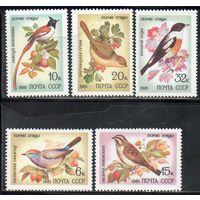 Певчие птицы СССР 1981 год (5221-5225) серия из 5 марок