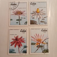 Куба 1979. Флора. Водная лилия