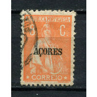 Португальские колонии - Азорские острова - 1921/1930 - Надпечатка ACORES на марках Португалии. Жница 8С - [Mi.213] - 1 марка. Гашеная.  (Лот 95AR)