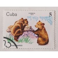Куба 1979, медведи