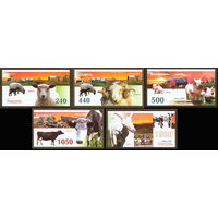 Сельскохозяйственные животные. Домашний скот Беларусь 2007 год (720-724) серия из 5 марок