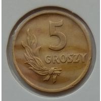 Польша 5 грошей 1949 г. Бронза. Состояние. В холдере