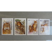 Продажа коллекции! Чистые почтовые марки РБ 2000 года.