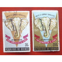 Гвинея. Слоны. Фауна. ( 2 марки ) 1967 года. 6-15.